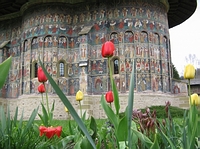 Bucovina monastery